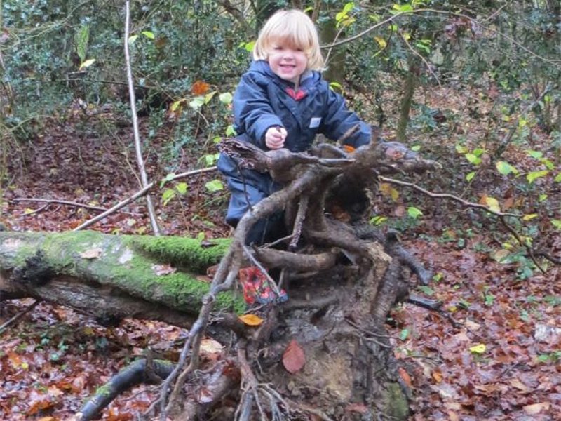 New poll reveals parents’ concern over children’s lack of wildlife experiences